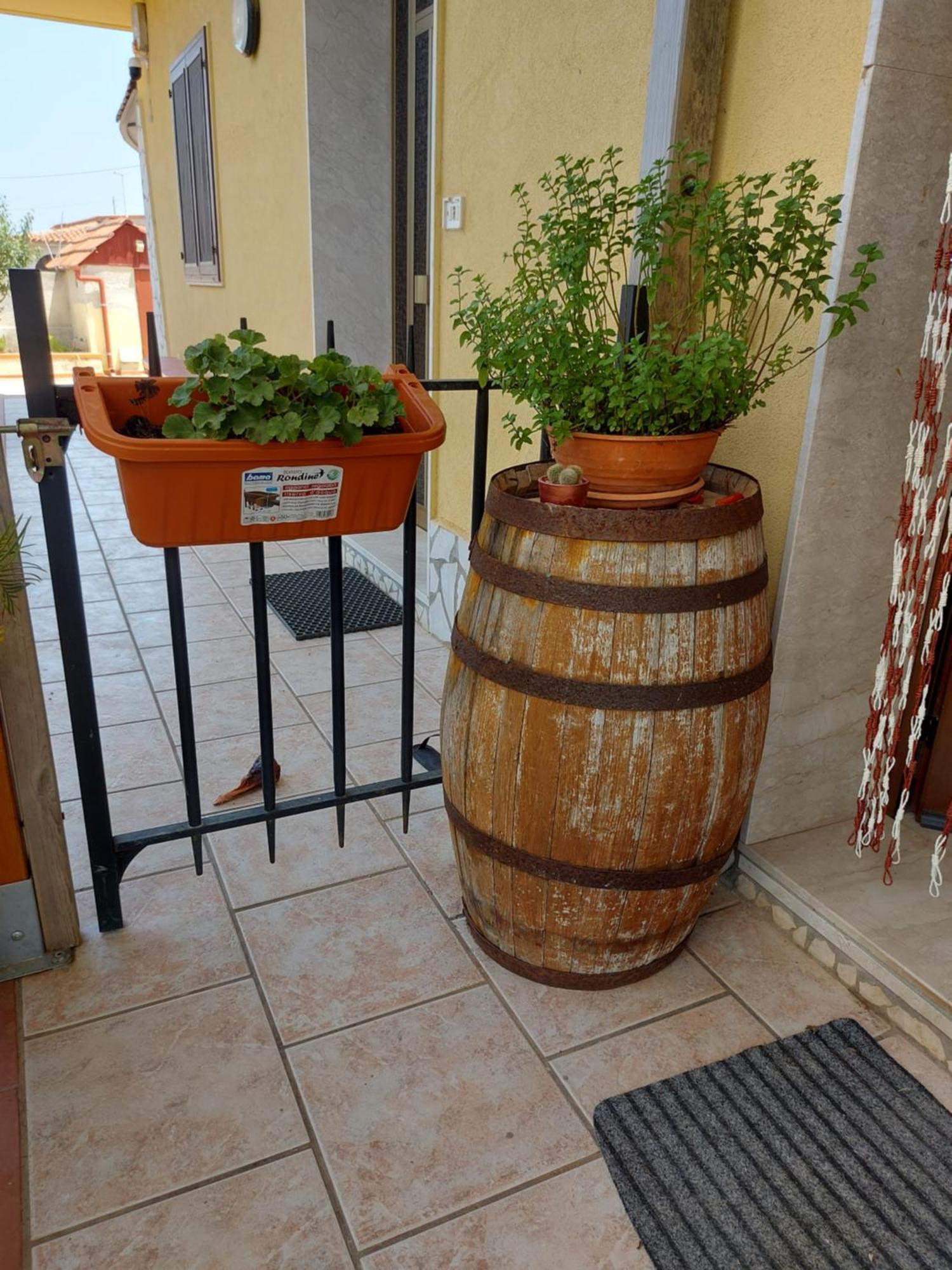 Elorina Sicily Home Syracuse Bagian luar foto